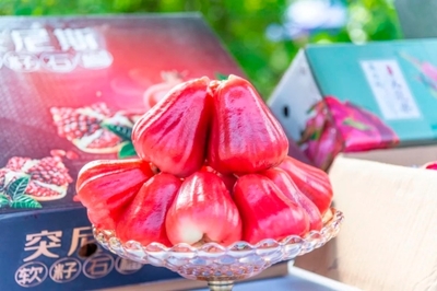 攀枝花市仁和區人民政府