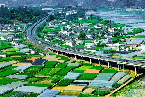 聆聽(tīng) 攀枝花開(kāi) ,著名詞人 音樂(lè)人聯(lián)袂創(chuàng)作,屬于攀枝花人的歌