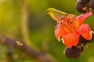 陽(yáng)光的味道 2017年度攀枝花 十大新聞 揭曉 附中獎(jiǎng)名單