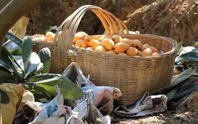 攀枝花新增一個國家地理標(biāo)志保護(hù)產(chǎn)品,你絕對吃過!