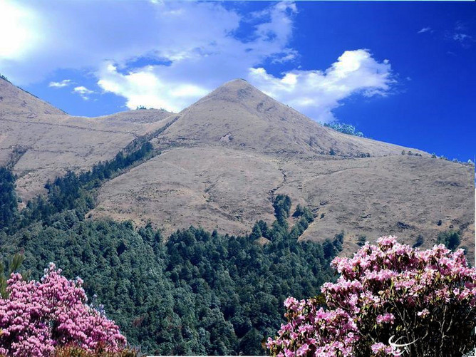 攀枝花8844戶外 露營(yíng)大姚百草嶺帽臺(tái)山AA召集活動(dòng)（10月25-26日）