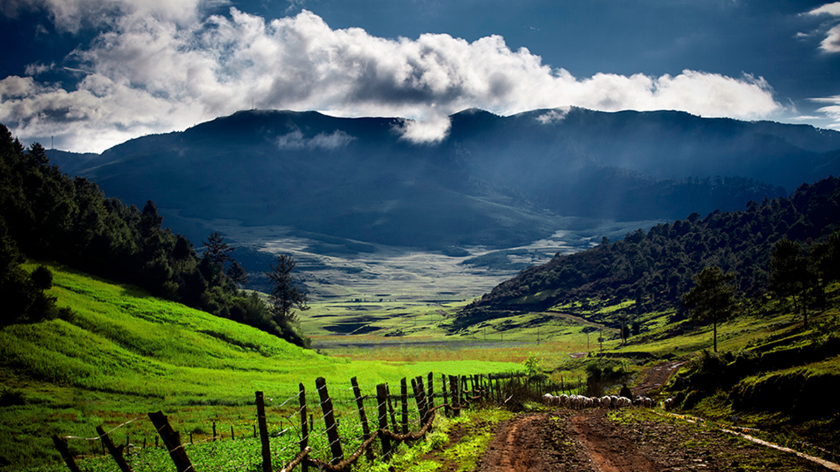 攀枝花 從鋼鐵重鎮(zhèn)到國(guó)家認(rèn)證的“天堂”