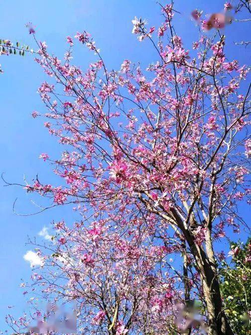 攀枝花藍(lán) 城市天空的獨(dú)特印記