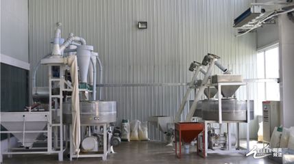 種植加工一體化 盂縣“辰厚、佳珍”產業發展持續發力與技術推廣新路徑